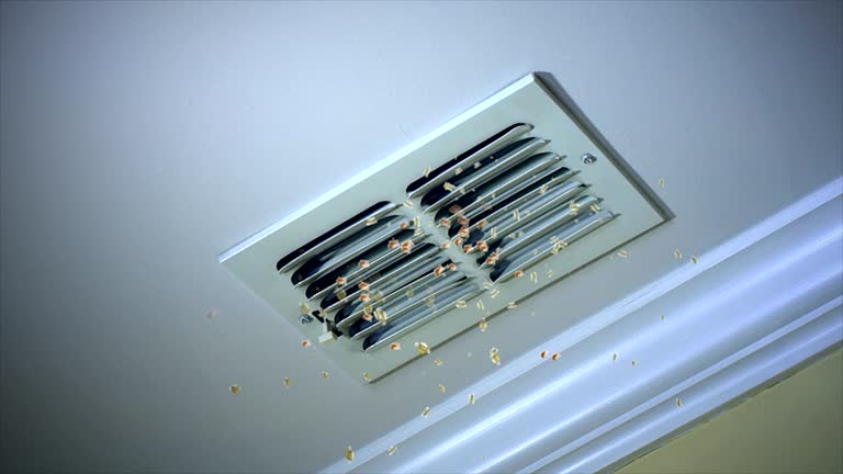 Best Air Duct Cleaning Company Near Me  in Hutto, TX